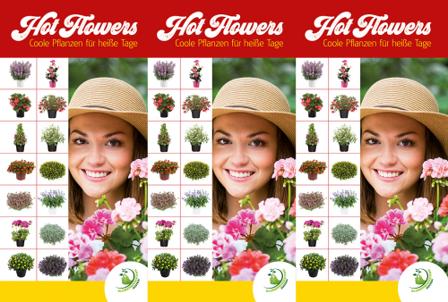 Prismaständer "Hot Flowers - Coole Pflanzen für heiße Tage"