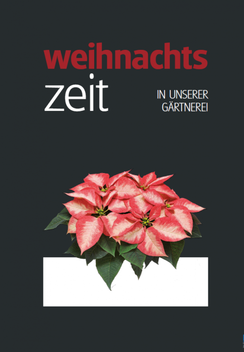 Poster Weihnachtszeit - einfach